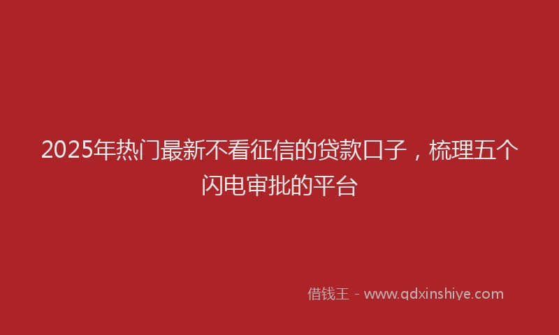 2025年热门最新不看征信的贷款口子，梳理五个闪电审批的平台