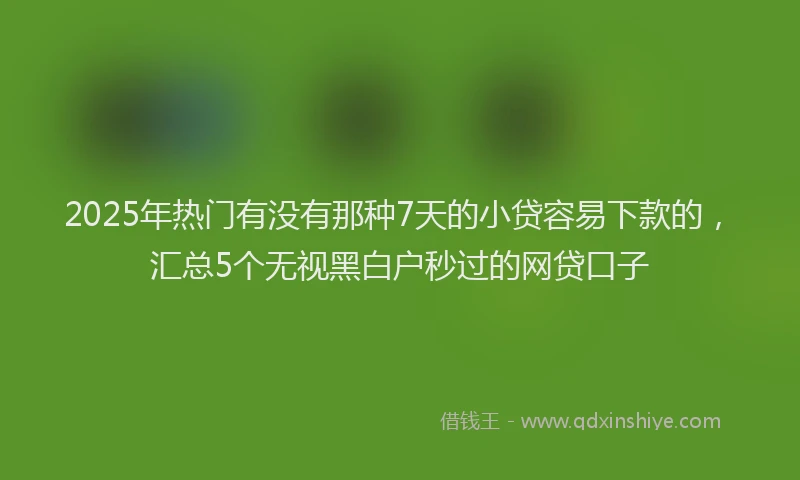 2025年热门有没有那种7天的小贷容易下款的，汇总5个无视黑白户秒过的网贷口子