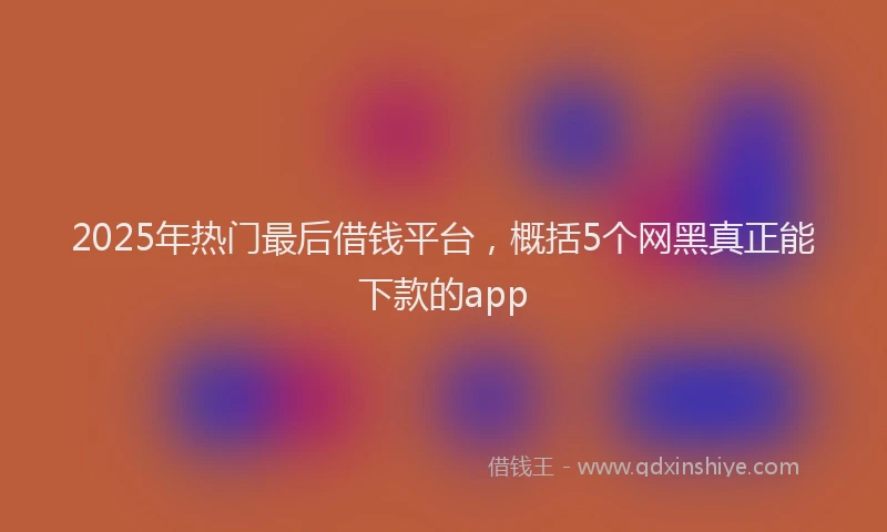 2025年热门最后借钱平台，概括5个网黑真正能下款的app