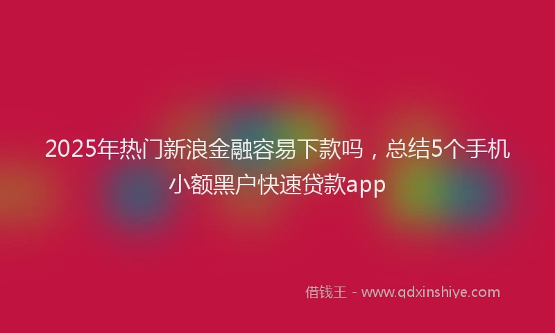 2025年热门新浪金融容易下款吗，总结5个手机小额黑户快速贷款app