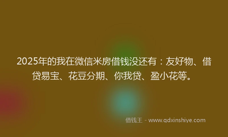 2025年的我在微信米房借钱没还有：友好物、借贷易宝、花豆分期、你我贷、盈小花等。