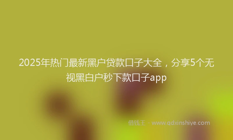 2025年热门最新黑户贷款口子大全，分享5个无视黑白户秒下款口子app