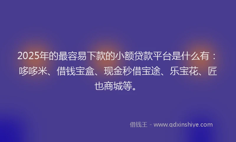 2025年的最容易下款的小额贷款平台是什么有：哆哆米、借钱宝盒、现金秒借宝途、乐宝花、匠也商城等。