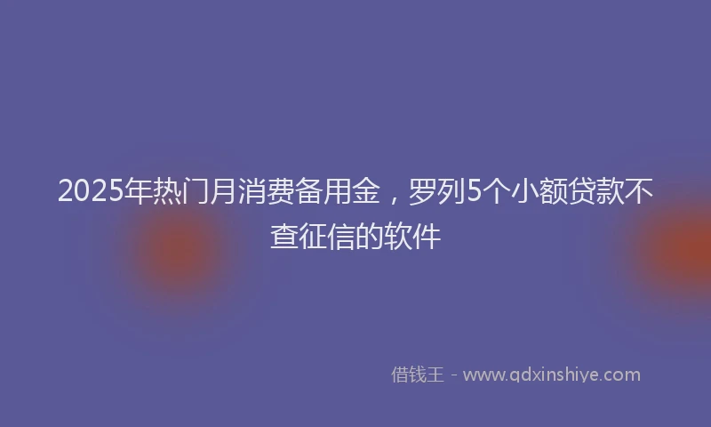 2025年热门月消费备用金，罗列5个小额贷款不查征信的软件