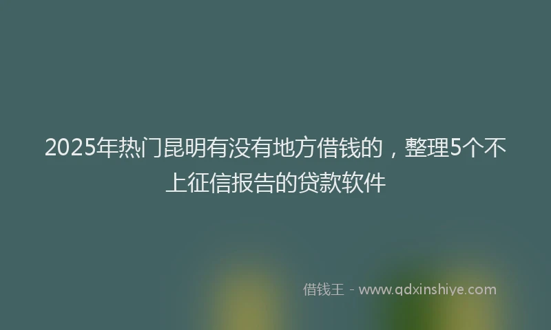 2025年热门昆明有没有地方借钱的，整理5个不上征信报告的贷款软件