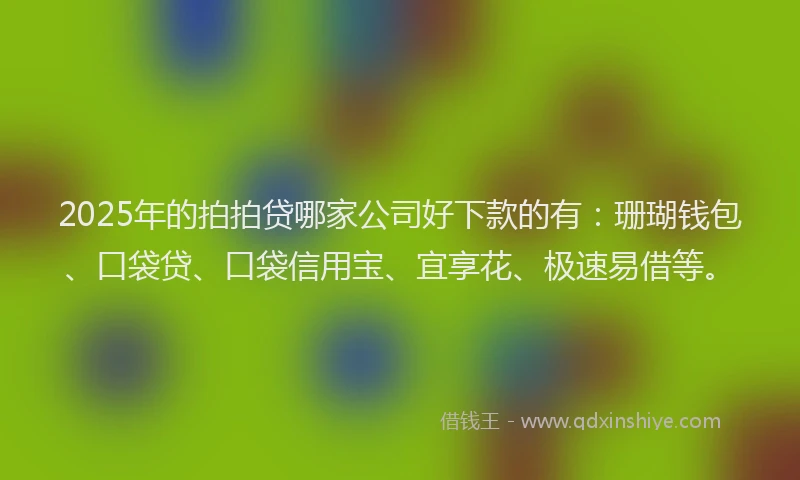 2025年的拍拍贷哪家公司好下款的有：珊瑚钱包、口袋贷、口袋信用宝、宜享花、极速易借等。