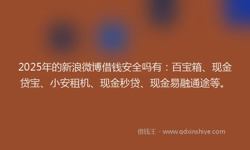 2025年的新浪微博借钱安全吗有：百宝箱、现金贷宝、小安租机、现金秒贷、现金易融通途等。