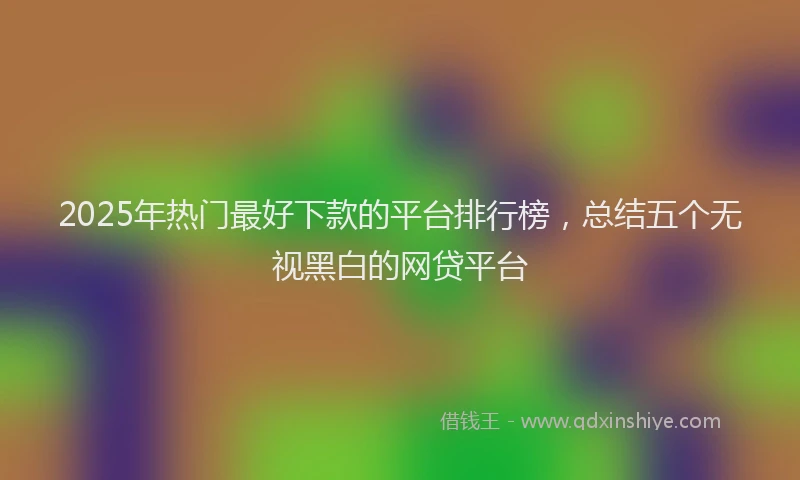 2025年热门最好下款的平台排行榜，总结五个无视黑白的网贷平台