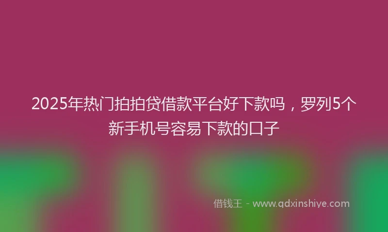 2025年热门拍拍贷借款平台好下款吗，罗列5个新手机号容易下款的口子