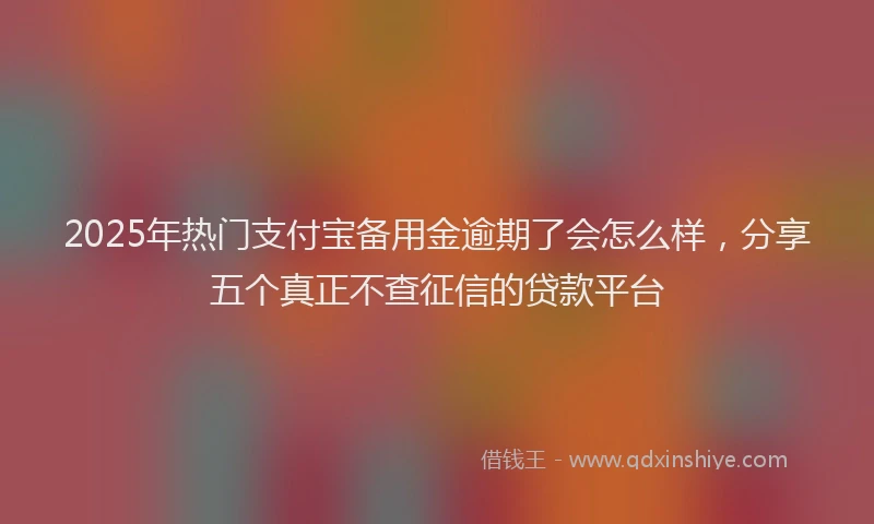 2025年热门支付宝备用金逾期了会怎么样，分享五个真正不查征信的贷款平台