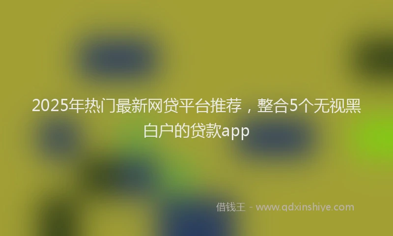 2025年热门最新网贷平台推荐，整合5个无视黑白户的贷款app