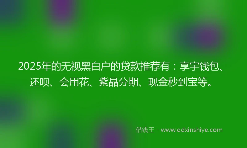 2025年的无视黑白户的贷款推荐有：享宇钱包、还呗、会用花、紫晶分期、现金秒到宝等。