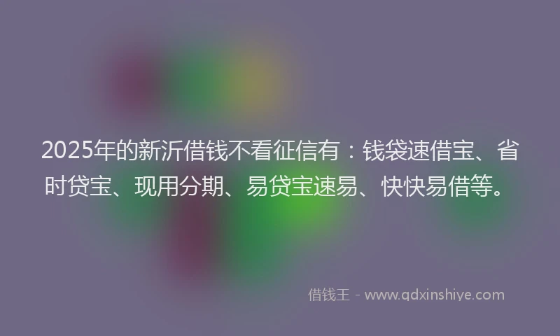 2025年的新沂借钱不看征信有：钱袋速借宝、省时贷宝、现用分期、易贷宝速易、快快易借等。
