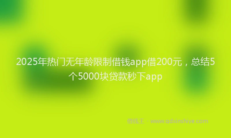 2025年热门无年龄限制借钱app借200元，总结5个5000块贷款秒下app