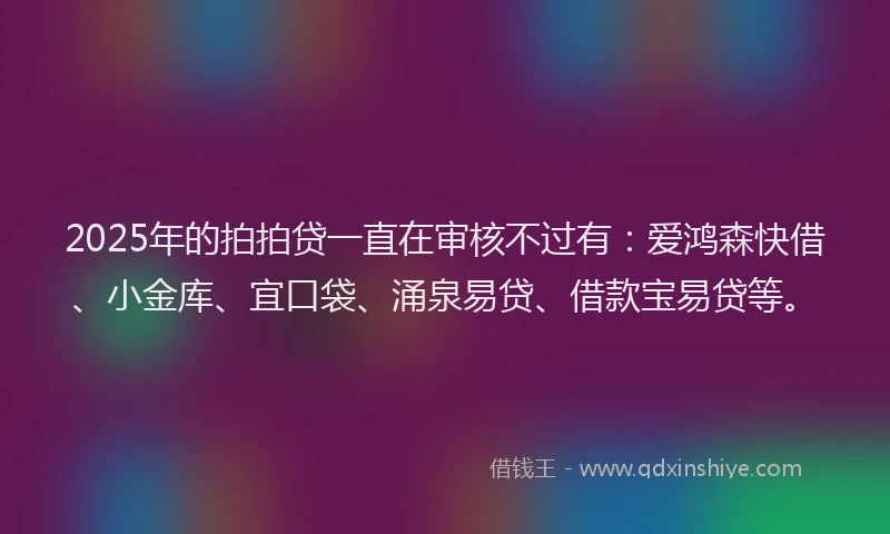 2025年的拍拍贷一直在审核不过有：爱鸿森快借、小金库、宜口袋、涌泉易贷、借款宝易贷等。