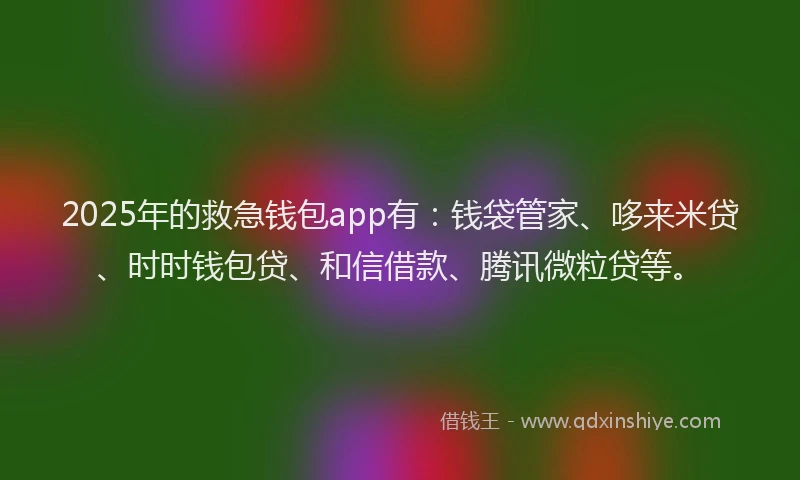 2025年的救急钱包app有：钱袋管家、哆来米贷、时时钱包贷、和信借款、腾讯微粒贷等。