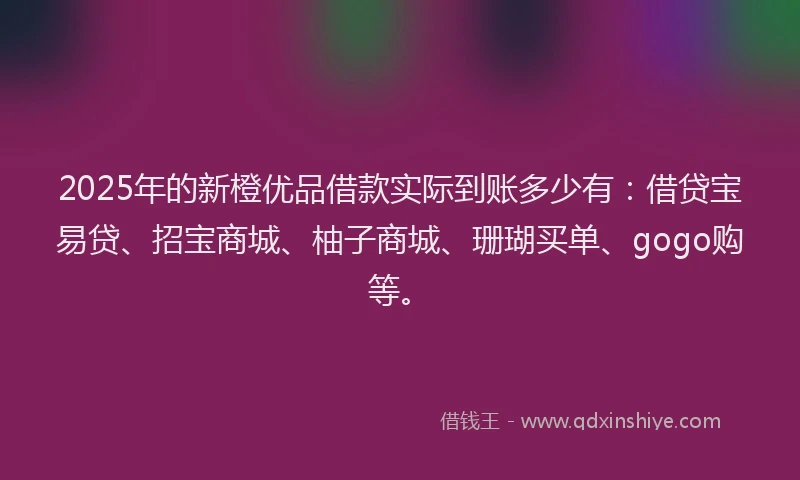 2025年的新橙优品借款实际到账多少有：借贷宝易贷、招宝商城、柚子商城、珊瑚买单、gogo购等。