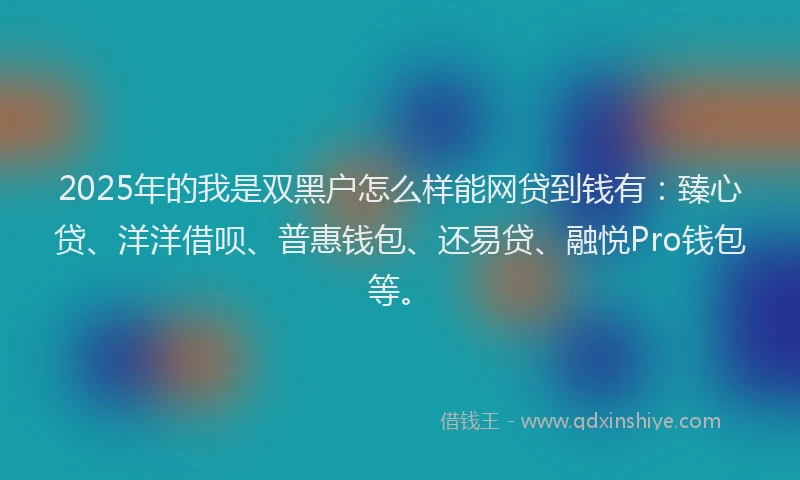 2025年的我是双黑户怎么样能网贷到钱有：臻心贷、洋洋借呗、普惠钱包、还易贷、融悦Pro钱包等。
