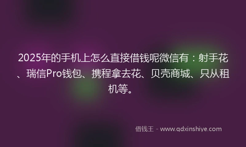 2025年的手机上怎么直接借钱呢微信有：射手花、瑞信Pro钱包、携程拿去花、贝壳商城、只从租机等。