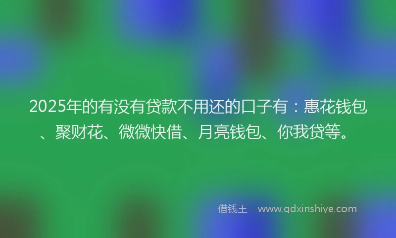 2025年的有没有贷款不用还的口子有：惠花钱包、聚财花、微微快借、月亮钱包、你我贷等。