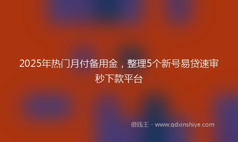2025年热门月付备用金，整理5个新号易贷速审秒下款平台