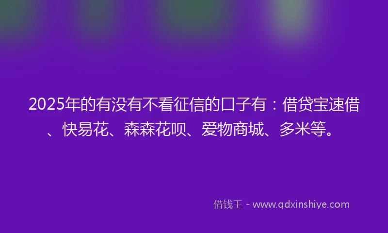 2025年的有没有不看征信的口子有：借贷宝速借、快易花、森森花呗、爱物商城、多米等。