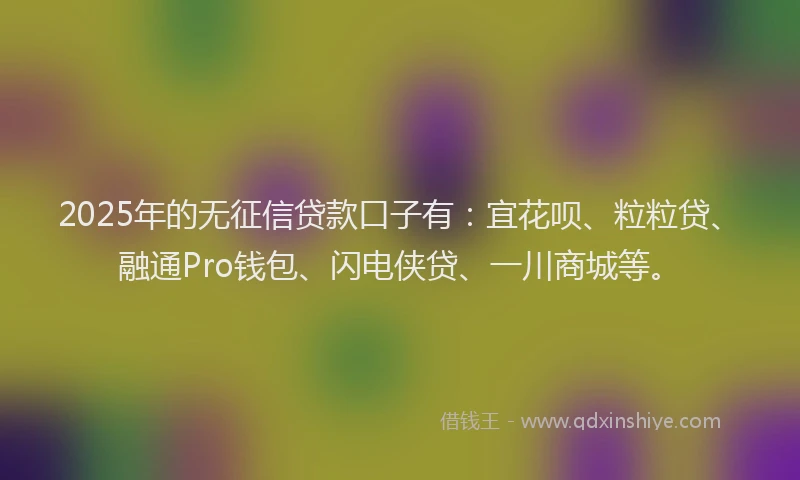 2025年的无征信贷款口子有：宜花呗、粒粒贷、融通Pro钱包、闪电侠贷、一川商城等。