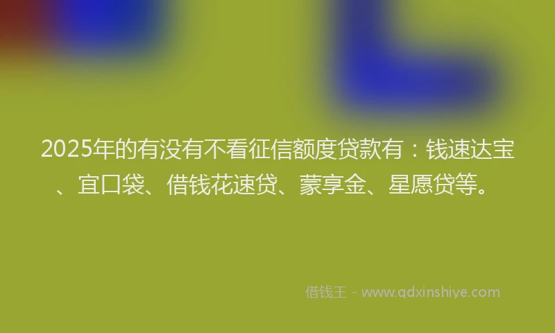 2025年的有没有不看征信额度贷款有：钱速达宝、宜口袋、借钱花速贷、蒙享金、星愿贷等。
