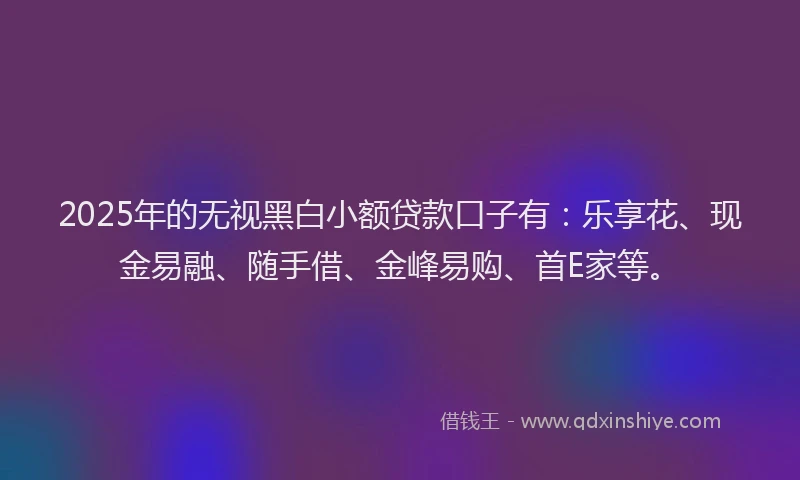 2025年的无视黑白小额贷款口子有：乐享花、现金易融、随手借、金峰易购、首E家等。