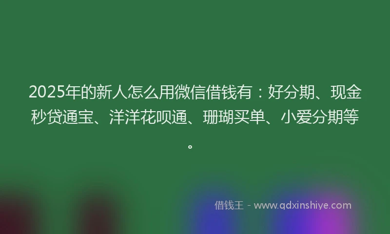 2025年的新人怎么用微信借钱有：好分期、现金秒贷通宝、洋洋花呗通、珊瑚买单、小爱分期等。