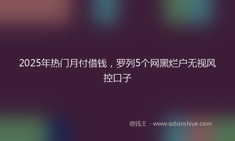 2025年热门月付借钱，罗列5个网黑烂户无视风控口子