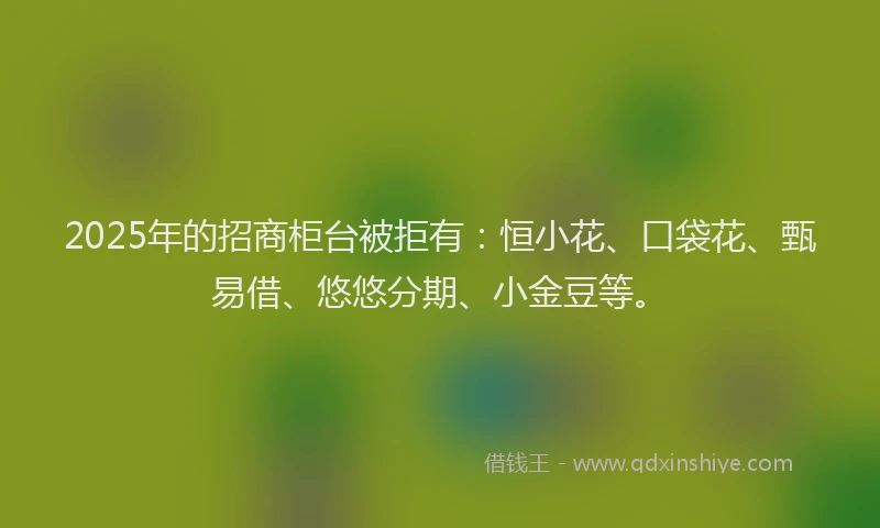 2025年的招商柜台被拒有：恒小花、口袋花、甄易借、悠悠分期、小金豆等。