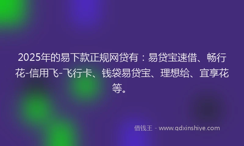 2025年的易下款正规网贷有：易贷宝速借、畅行花-信用飞-飞行卡、钱袋易贷宝、理想给、宜享花等。
