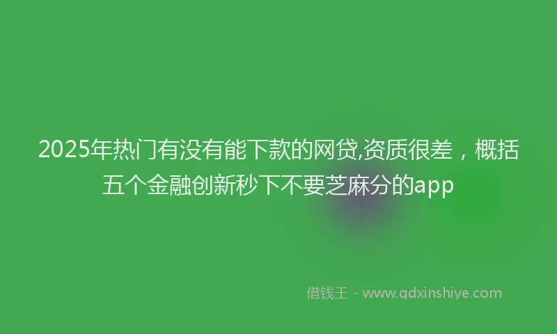 2025年热门有没有能下款的网贷,资质很差，概括五个金融创新秒下不要芝麻分的app