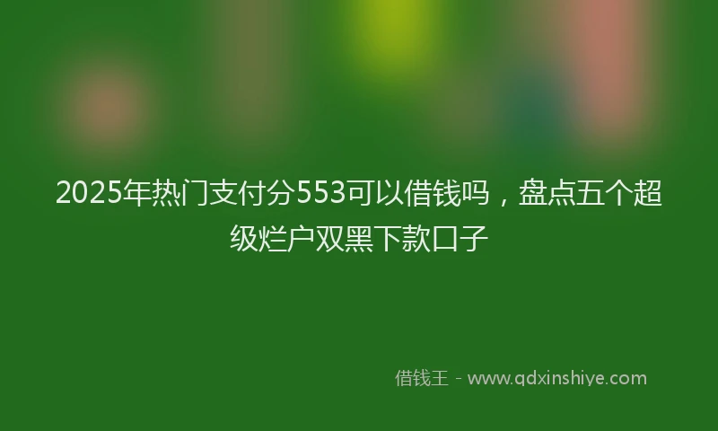 2025年热门支付分553可以借钱吗，盘点五个超级烂户双黑下款口子