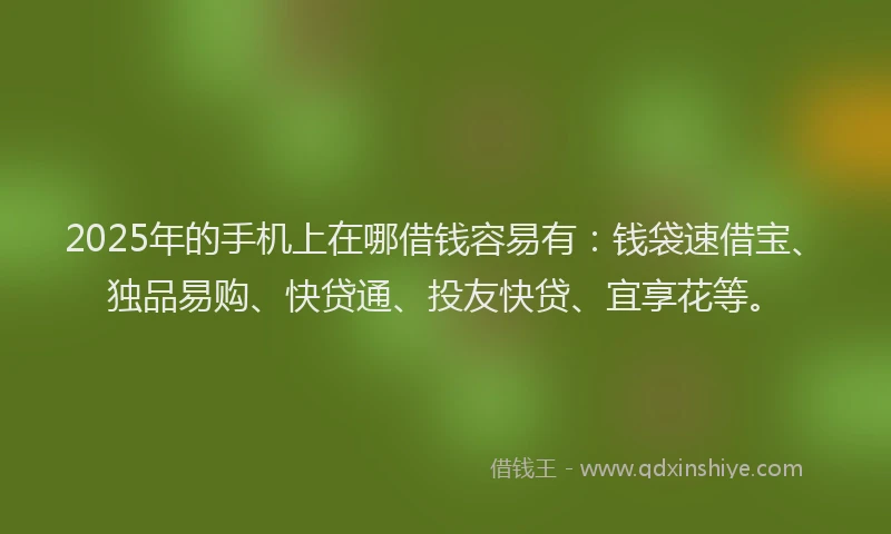 2025年的手机上在哪借钱容易有：钱袋速借宝、独品易购、快贷通、投友快贷、宜享花等。