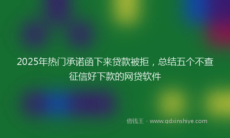 2025年热门承诺函下来贷款被拒，总结五个不查征信好下款的网贷软件