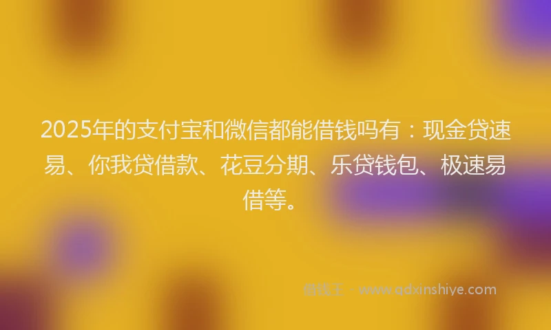 2025年的支付宝和微信都能借钱吗有：现金贷速易、你我贷借款、花豆分期、乐贷钱包、极速易借等。