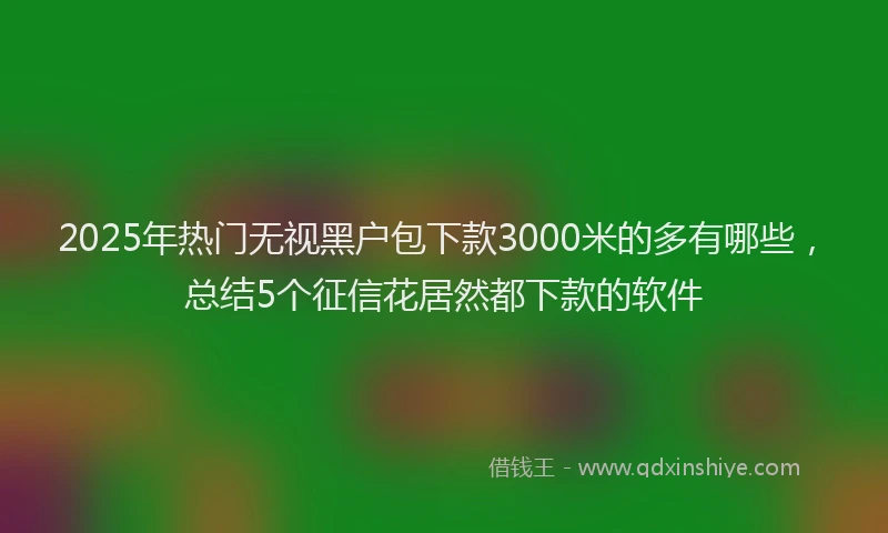 2025年热门无视黑户包下款3000米的多有哪些，总结5个征信花居然都下款的软件