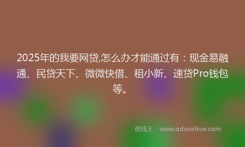 2025年的我要网贷,怎么办才能通过有：现金易融通、民贷天下、微微快借、租小新、速贷Pro钱包等。
