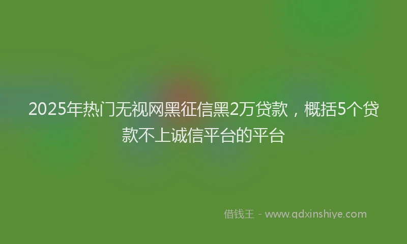 2025年热门无视网黑征信黑2万贷款，概括5个贷款不上诚信平台的平台