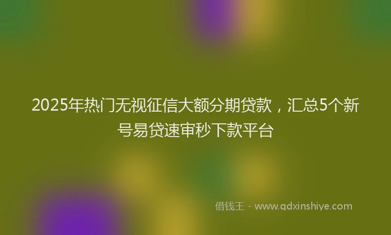 2025年热门无视征信大额分期贷款，汇总5个新号易贷速审秒下款平台