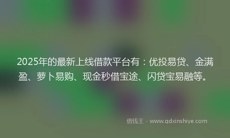 2025年的最新上线借款平台有：优投易贷、金满盈、萝卜易购、现金秒借宝途、闪贷宝易融等。