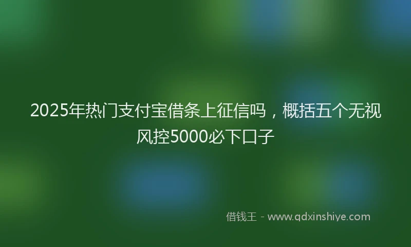 2025年热门支付宝借条上征信吗，概括五个无视风控5000必下口子