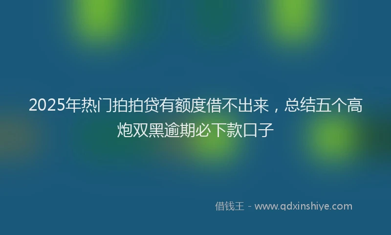 2025年热门拍拍贷有额度借不出来，总结五个高炮双黑逾期必下款口子