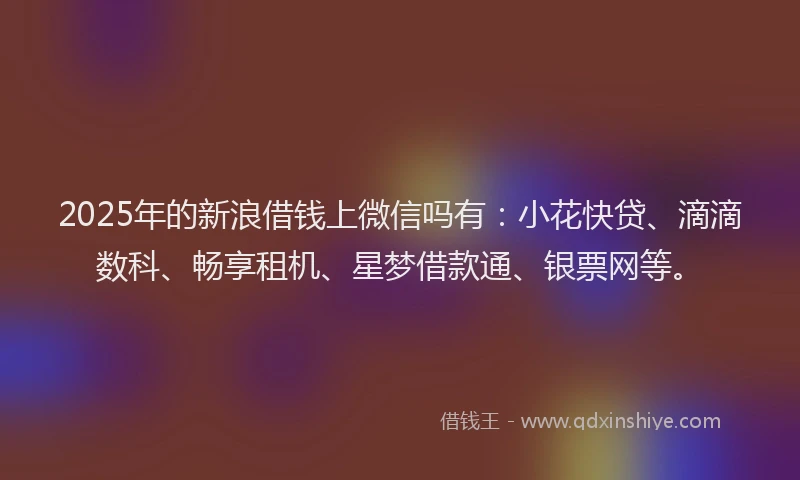 2025年的新浪借钱上微信吗有：小花快贷、滴滴数科、畅享租机、星梦借款通、银票网等。