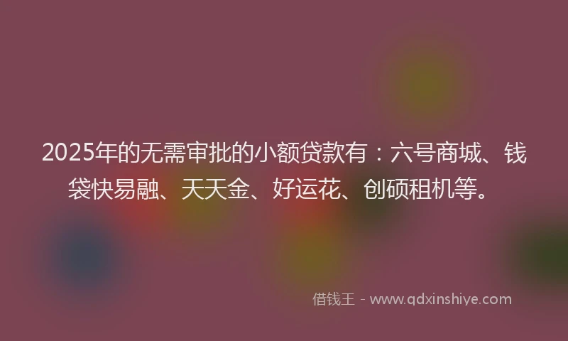 2025年的无需审批的小额贷款有：六号商城、钱袋快易融、天天金、好运花、创硕租机等。