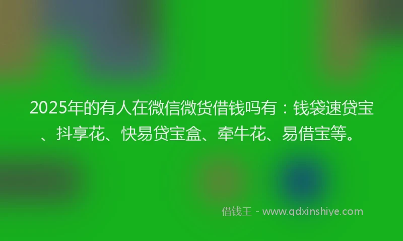 2025年的有人在微信微货借钱吗有：钱袋速贷宝、抖享花、快易贷宝盒、牵牛花、易借宝等。