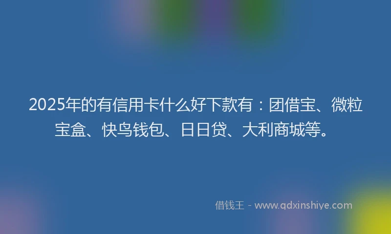 2025年的有信用卡什么好下款有：团借宝、微粒宝盒、快鸟钱包、日日贷、大利商城等。
