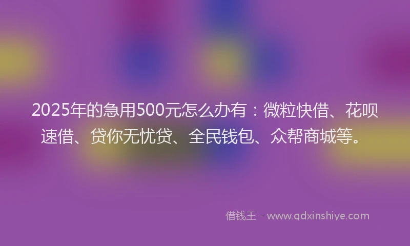 2025年的急用500元怎么办有：微粒快借、花呗速借、贷你无忧贷、全民钱包、众帮商城等。